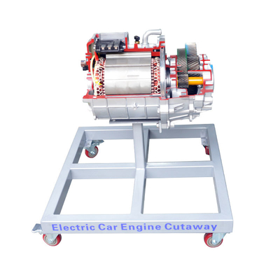 Beli Perangkat pendidikan Drive Motor Dissection Display Platform pembuatan online