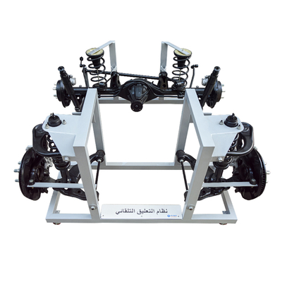 kopen Educatieve hulpmiddelen voor de weergave van de structuur van het veersysteem van auto's online vervaardiging