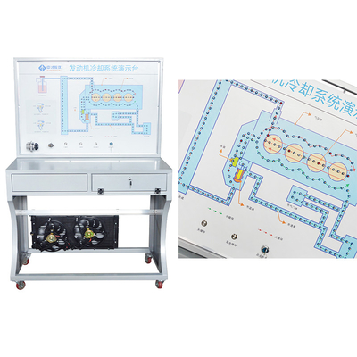 School Education Automotive Engine Lubrication System Training Board Interactive Cutaway Model For Automotive Teaching